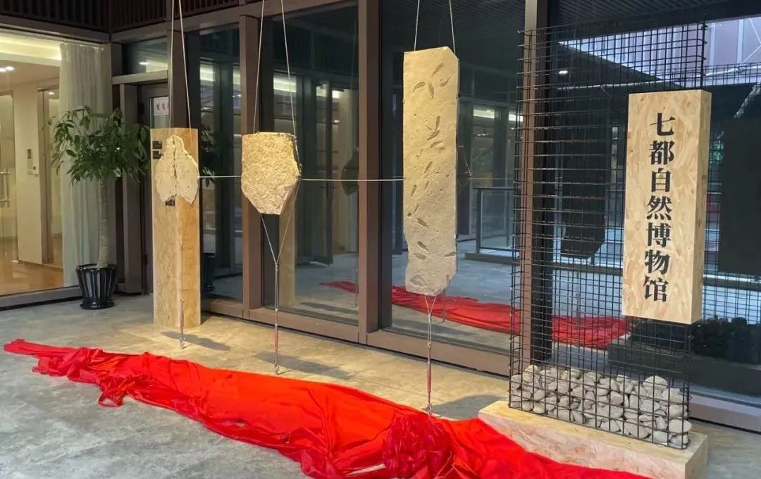 浙江温州首个化石类自然博物馆正式揭幕落地！