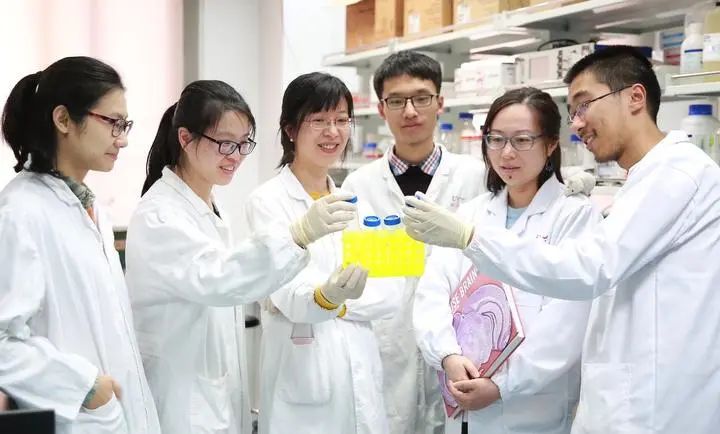 学术委员会副主席胡海岚团队获国家自然科学奖二等奖：破解大脑密码，打响抑郁症阻击战