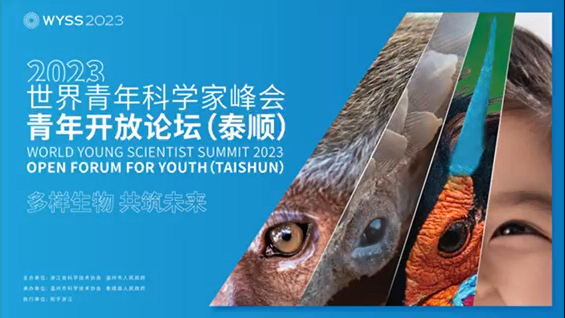 Youth Open Forum (Taishun)